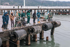 Завезенный вид быстро растет и уже попадается рыбакам