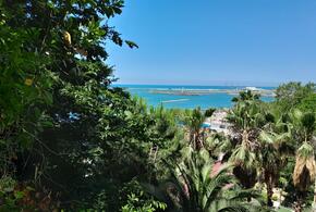 Черноморский флот обеспечит безопасность морских портов в Сочи и Сириусе