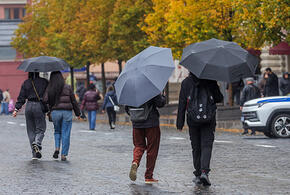 Дожди и ухудшение видимости: о погоде на Кубани 12 октября