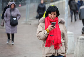 Экс-мэра Сочи Копайгородского ограничили в сроках ознакомления с материалами дела, грибники всю ночь провели в лесу: ТОП-5 за 19 октября