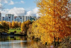 Рейтинг наиболее популярных материалов «Живой Кубани» за сегодня