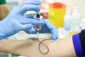 Два крупных проекта оцениваются примерно в 15 миллиардов