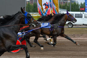 Жители написали письма Путину и Кадырову