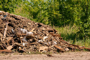 Известно решение суда в отношении владельца свалки в Новороссийске, которая отравила природу вокруг
