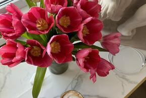 Как сделать дом стильным и уютным без ремонта: действенные способы