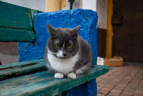 Как заставить соседа убрать свою обувь из подъезда в квартиру - напугать огромным штрафом