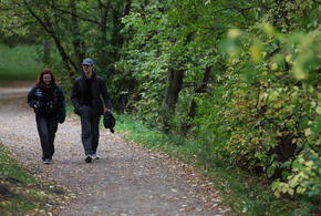 В крае переменная облачность