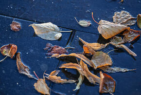 Какая погода ожидается на Кубани 1 октября, рассказали синоптики