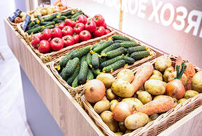 Какие овощи становятся более полезными после готовки – пять неожиданных открытий