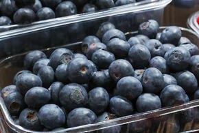 От черники до баклажанов — что содержится в ярких продуктах и как они помогают организму