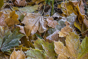 Какой будет погода 13 октября в Краснодарском крае, рассказали синоптики