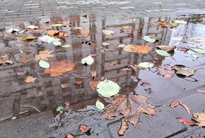 Холодную погоду прогнозируют синоптики в Краснодарском крае на 20 октября