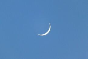 Гороскоп на 26 октября для всех знаков зодиака от «Живой Кубани»