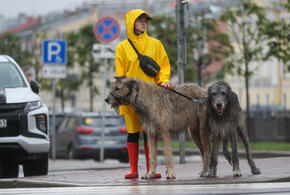 Местами просто невыносимо: о погоде в Краснодарском крае сегодня, 14 октября 