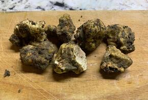 Раньше считалось, что он растет только в Италии