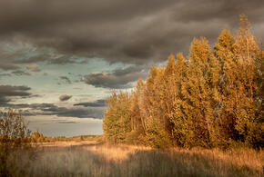 На Кубани ожидаются дожди и грозы 19 октября