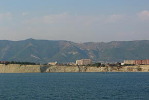 Владелец остается ни с чем