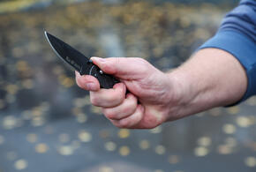 Пострадавшая успела вовремя вырваться