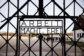 Материалы раскрывают леденящую душу подробности