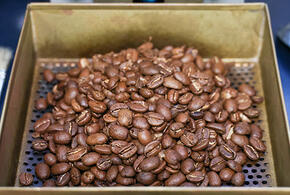 Неурожай и американские пошлины: эксперты объяснили, почему кофе взлетел в цене