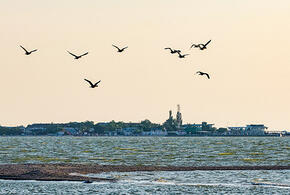 Обнаружены уникальные механизмы восстановления Азовского моря