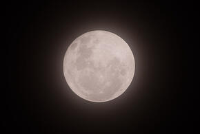 Овнам не стоит начинать новые дела, а Весы справятся со сложностями в работе