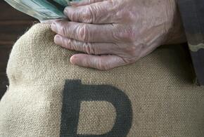 Озвучены наказания двум сотрудникам «Агрокомплекса», которые совершили кражу на кубанском предприятии и договорились о взятке с полицейскими