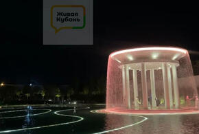 Это не просто зеленая зона, а настоящий оазис красоты, инноваций и вдохновения