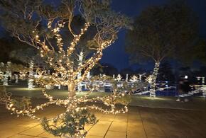 Парк Галицкого в Краснодаре начали украшать к Новому году