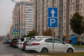 Платить всё равно придётся: в Дептрансе Краснодара рассказали, как быть с парковками при сбоях интернета