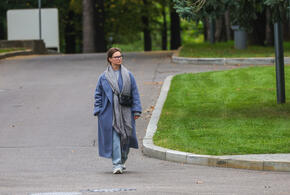 Рейтинг наиболее популярных материалов «Живой Кубани» за сегодня