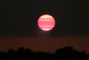 Рыбы будут втянуты в откровенную беседу, Девам срочно нужно проработать стратегию