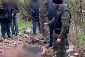 Сбросил тело в пустой колодец и пытался сжечь: в Кущевском районе Кубани брат зверски расправился с сестрой