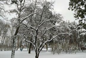 Даже весной потепление будет слабым