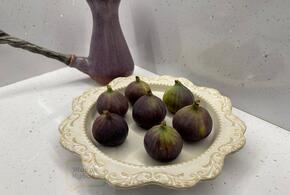 Сколько стоит инжир на побережье Краснодарского края