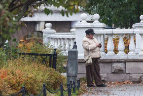 Рейтинг наиболее популярных материалов «Живой Кубани» за сегодня