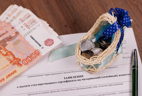 Максимальное пособие по беременности и родам составит почти миллион рублей