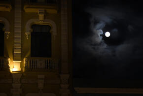 Гороскоп на 19 октября для всех знаков зодиака от «Живой Кубани»