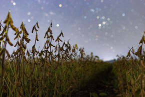 Гороскоп на 22 октября для всех знаков зодиака от «Живой Кубани»