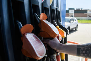 Эксперты предлагают ограничить максимальную цену на АЗС, чтобы бензин не прыгал в цене