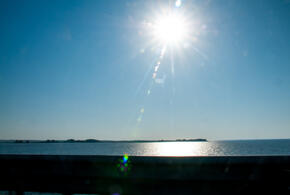 Когда ожидать спад активности?