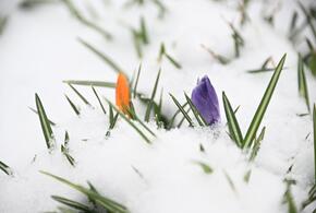 В горах Сочи высота снега достигла 40 сантиметров 