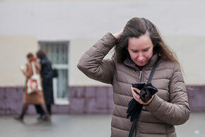 В Краснодарском крае перестали работать Telegram и WhatsApp (принадлежит признанной экстремисткой в РФ Meta)