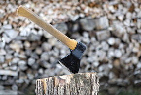 В Краснодарском крае пожилой отец переломал ребра сыну топором, пенсионеру назначен условный срок лишения свободы