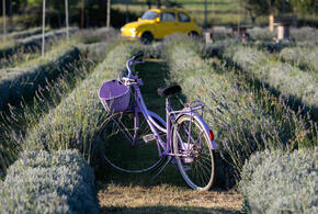 Мы собрали для вас новости, которые обязательно надо обсудить с коллегами, друзьями или родственниками