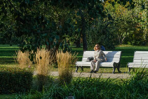 Рейтинг наиболее популярных материалов «Живой Кубани» за сегодня