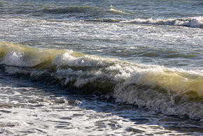 В Сочи стреляют, горожан и туристов просят не сеять панику