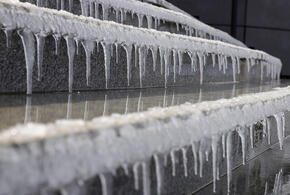 Власти Латвии требуют россиян покинуть страну, Россию ждёт аномально холодная зима: что произошло, пока вы спали