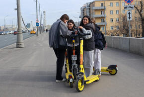 Молодежь чаще всего выбирает акции крупных компаний