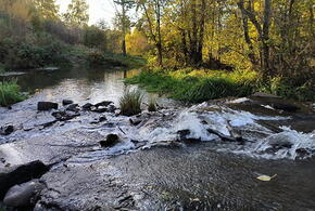 «Все уже измотаны»: в Туапсинском районе сильные дожди смыли переправу